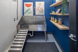 a large stainless steel pet wash tub in a blue and white pet wash room at The Parker, Portland, Minnesota  97209