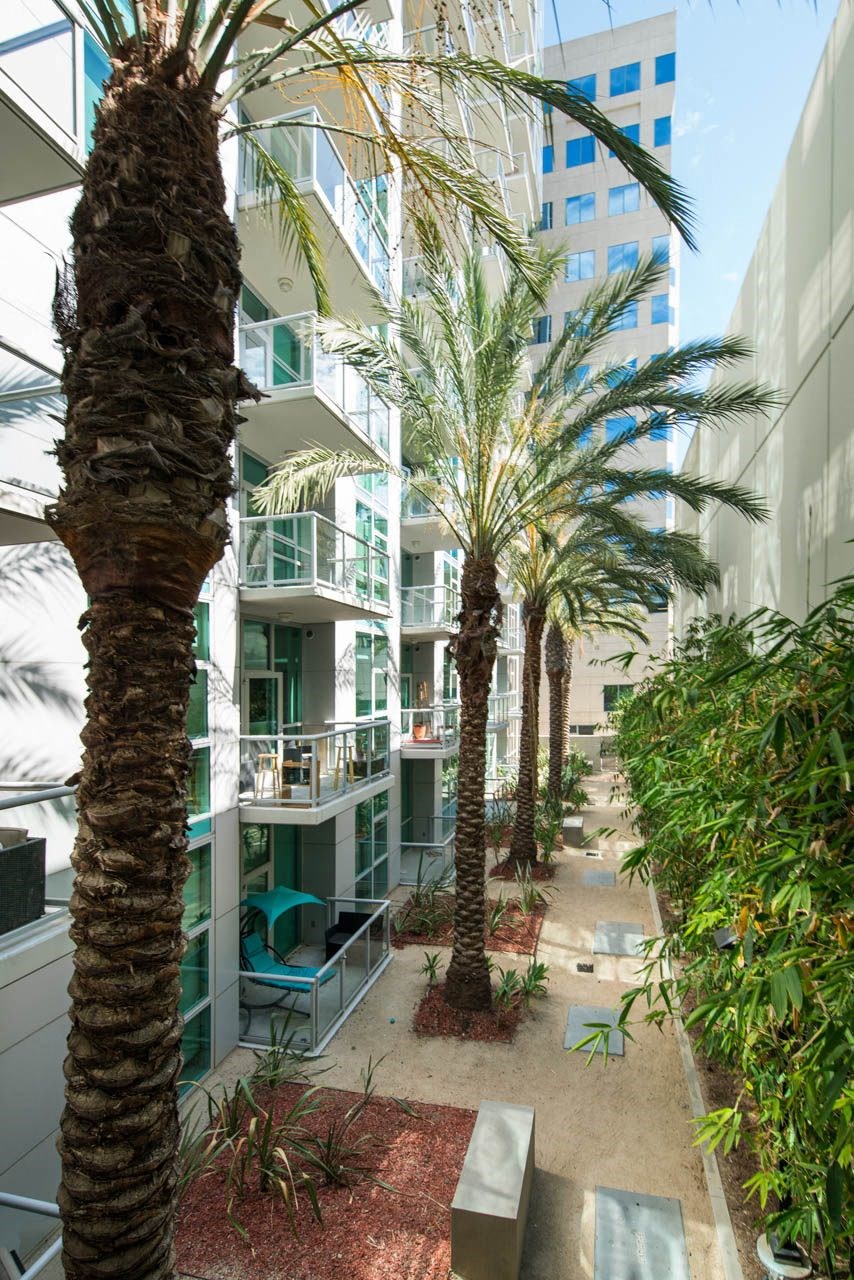 a group of palm trees in front of a building  at Vue, San Pedro, 90731