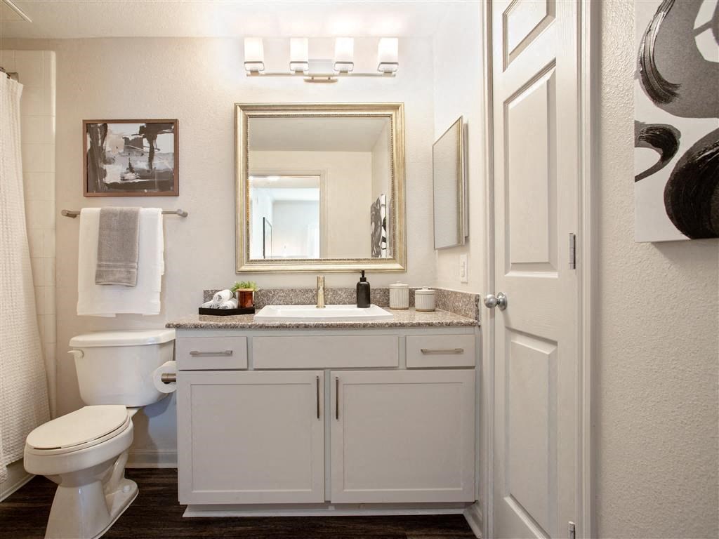 a bathroom with a sink toilet and a mirror