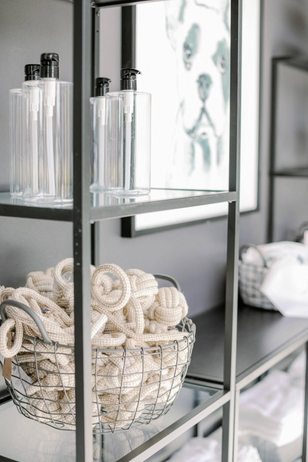 Pet spa shelving unit with glass product bottles and decorative accents on it at The Merchant Apartments, Charleston, South Carolina