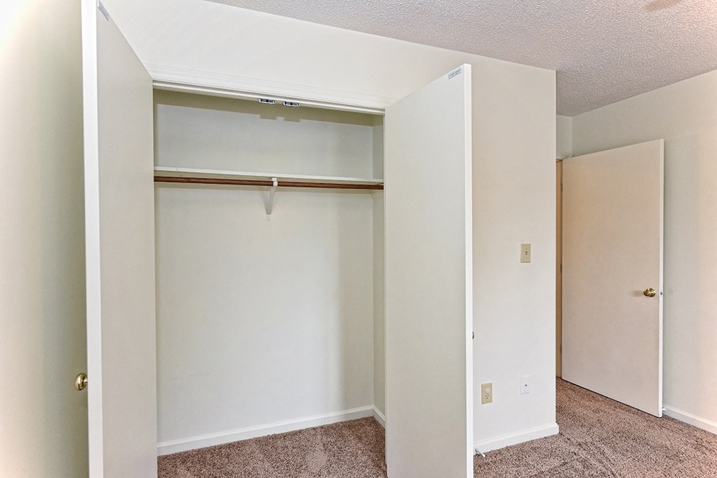 A white closet with a shelf and a carpeted floor.
