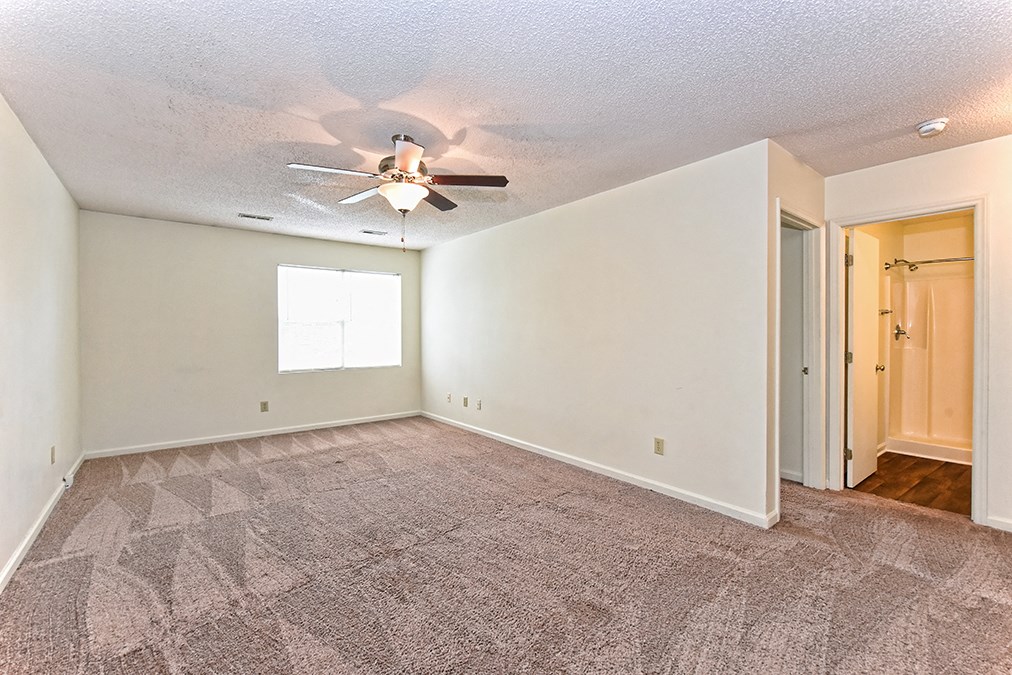 A room with a ceiling fan and carpeted floor.