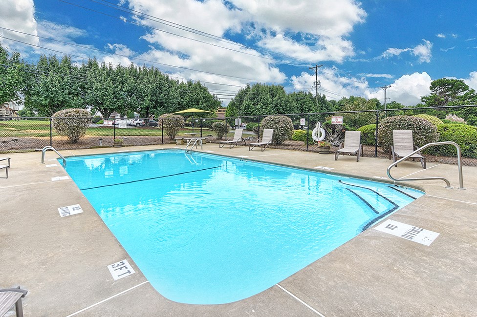 A large swimming pool surrounded by trees and lounge chairs.
