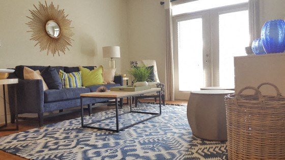 a living room with a blue couch and a blue rug