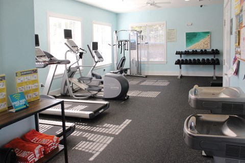 A gym with treadmills, elliptical machines, and weights.