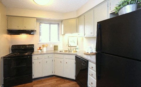 a kitchen with a black refrigerator and a sink
