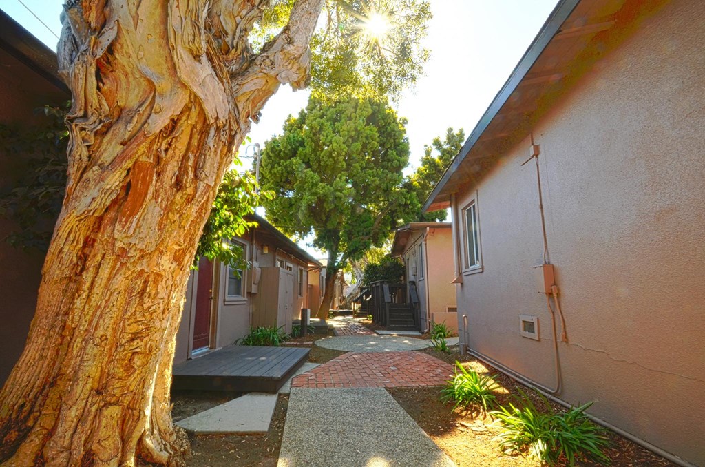 The Sands Community Exterior Path
