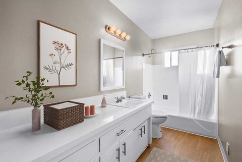 a bathroom with a sink and a toilet and a shower
