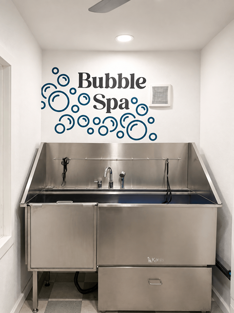 A stainless steel double sink kitchen with a Bubble Spa sign on the wall.