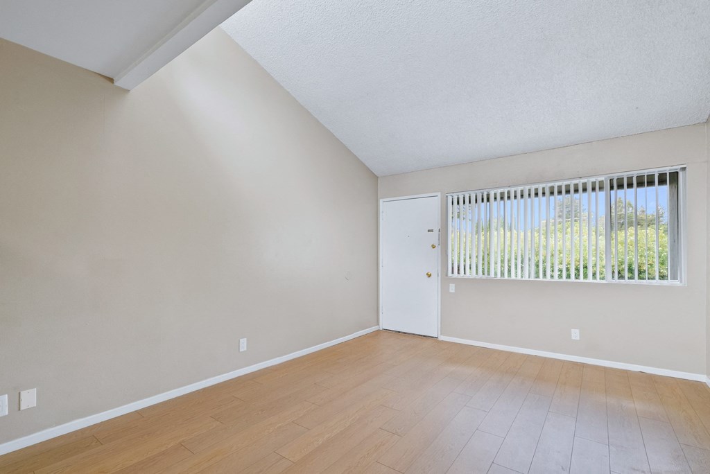 Living Room/Entrance