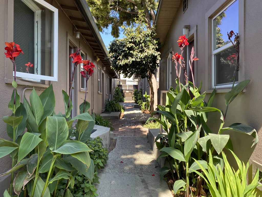 The Sands Landscaping