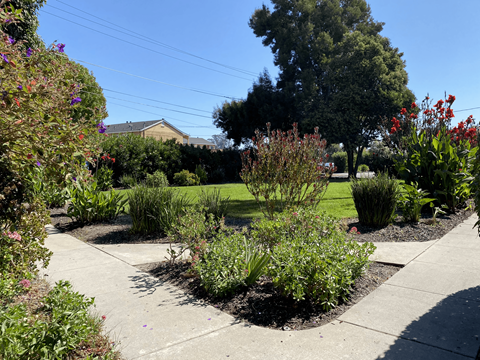 San Lorenzo Apartments Landscaping