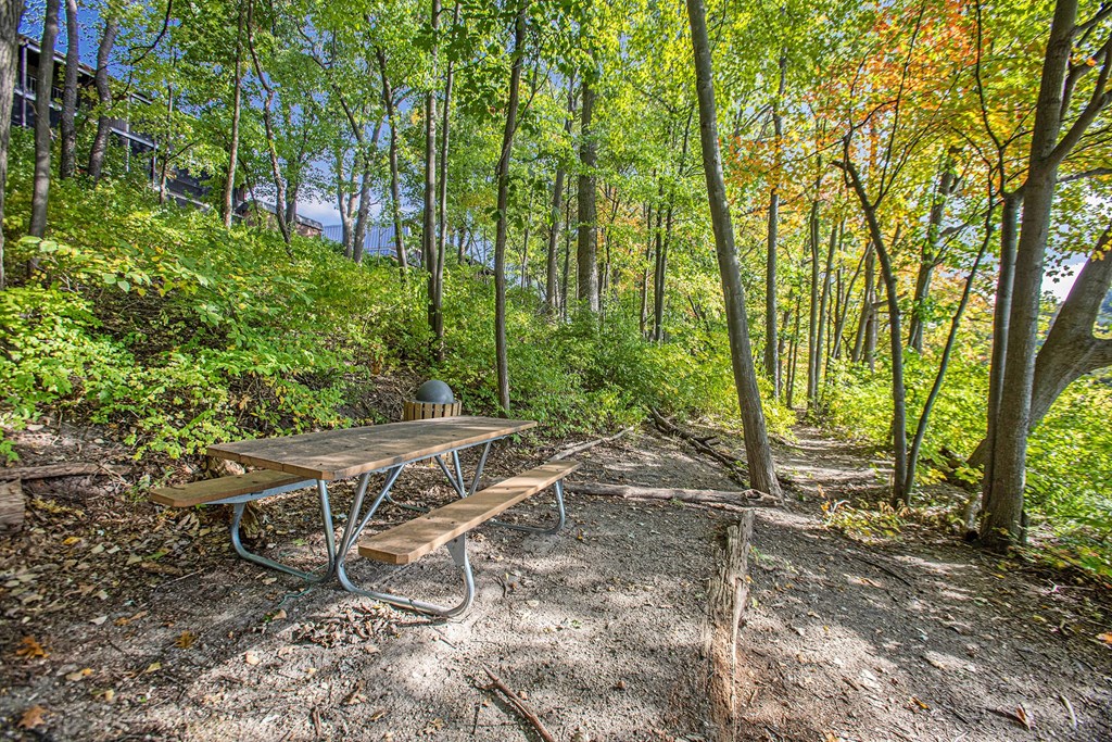 a campsite with a picnic table in the woods