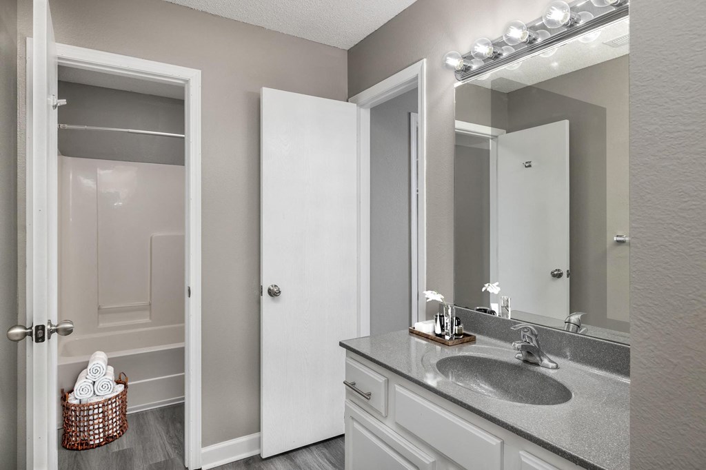 a bathroom with a sink and a mirror