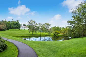 Scenic Pathways - Photo Gallery 3