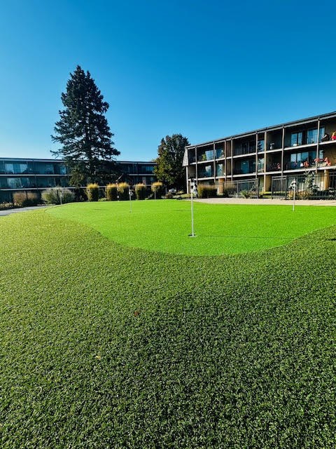 A grassy field with a goal post in the middle.