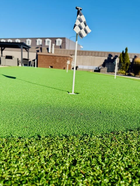 A checkered flag on a pole in the middle of a green field.