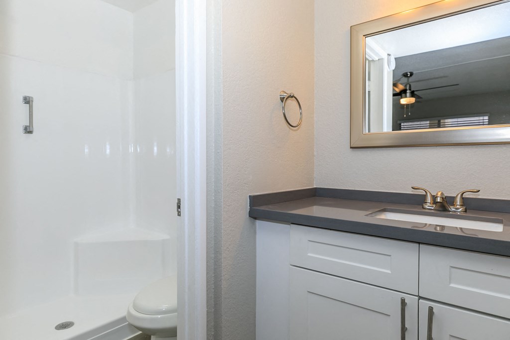 a bathroom with a sink and a toilet and a mirror at Tides on Southern, Mesa Arizona