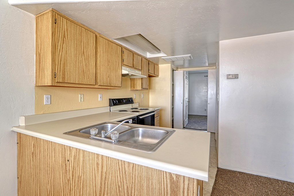 a kitchen with a sink and a stove and cabinets