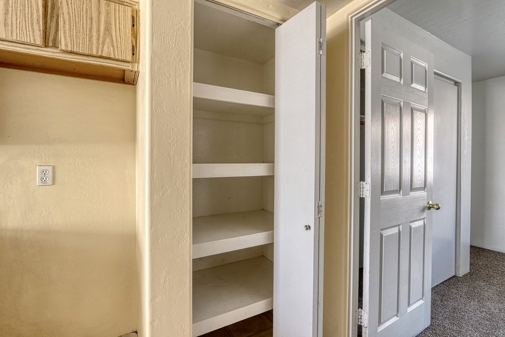 a walk in closet with shelves and a white door