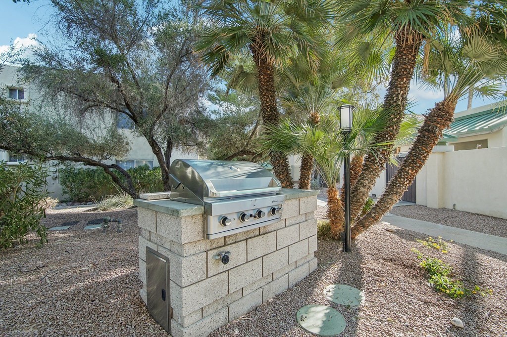 A backyard with a grill and a palm tree. at The Viridian Apartments, Scottsdale, AZ, 85250