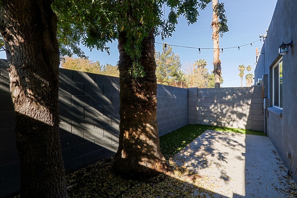 A tree in a yard with a wall and a building in the background.