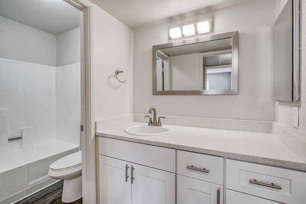 a bathroom with a sink and a mirror and a toilet