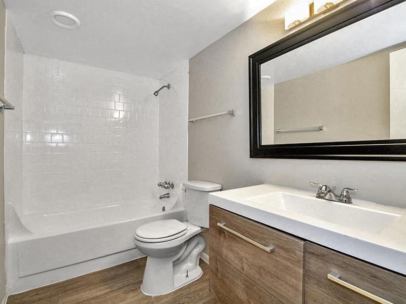 a bathroom with a toilet and a sink and a mirror