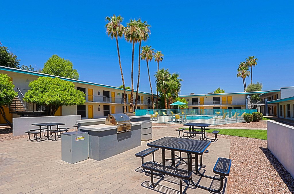 A sunny day at the outdoor seating area of a building with palm trees and a pool.