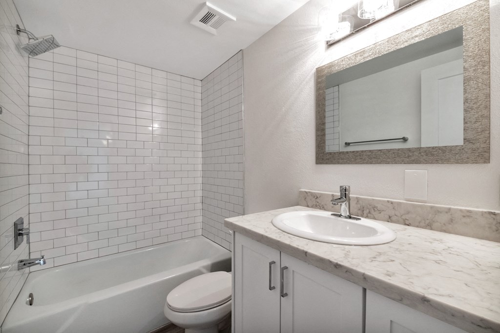 a bathroom with a sink and a toilet and a bath tub