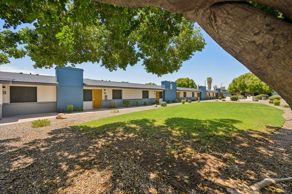 A tree shades a grassy area in front of a building.