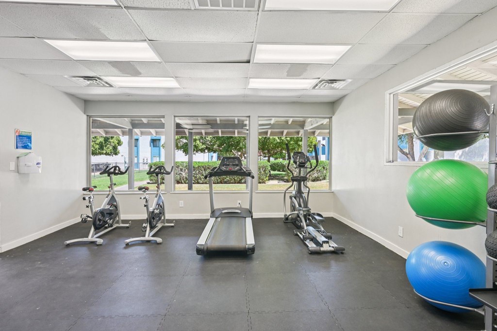 A gym with treadmills, exercise balls, and other equipment.