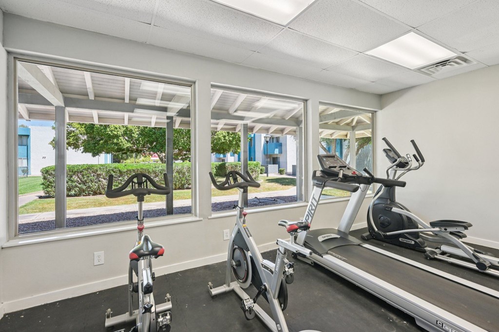 A room with a treadmill and a stationary bike.