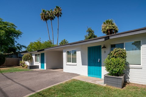 A house with a blue door and a green plant in front.