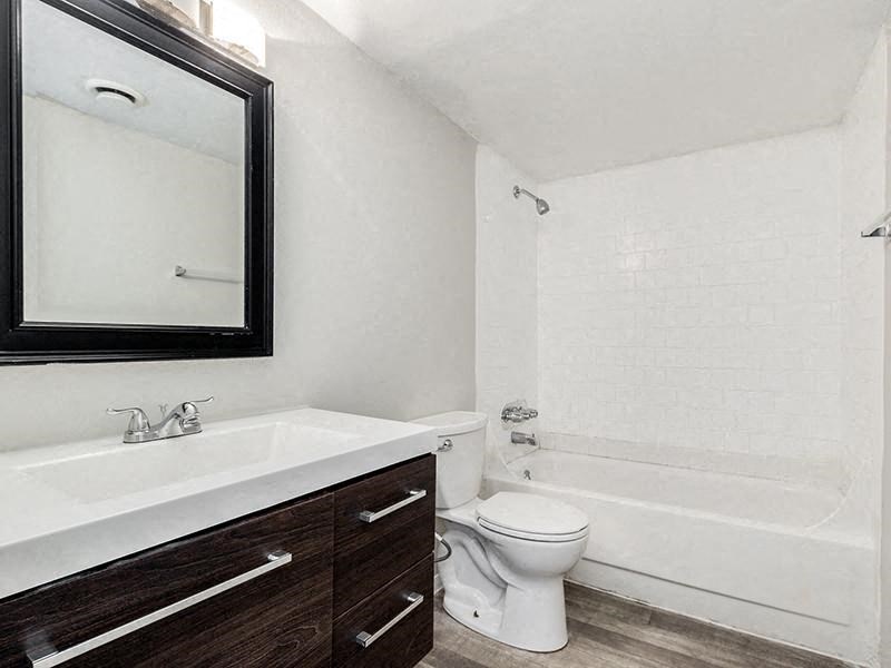 a bathroom with a toilet and a sink and a mirror