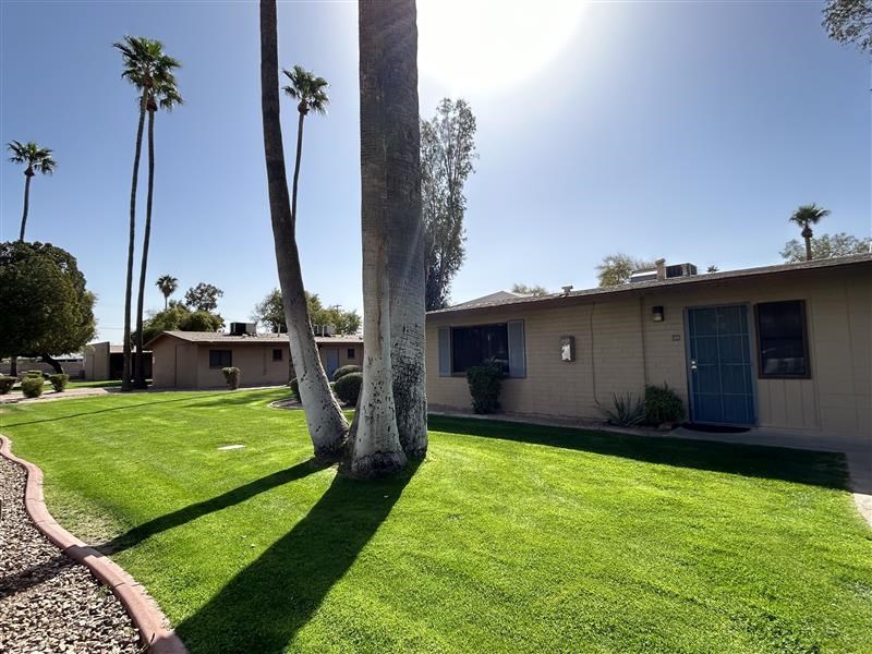 Green Space at Paradise Village Apartments, Phoenix