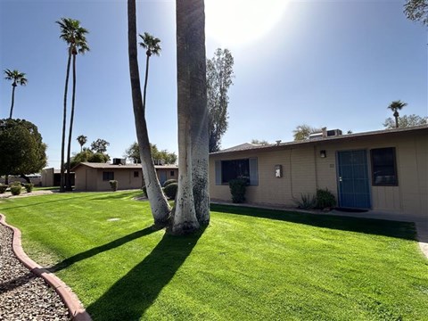 A house with a blue door is surrounded by green grass and palm trees.
