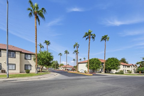 A street view of a residential area with palm trees and houses.