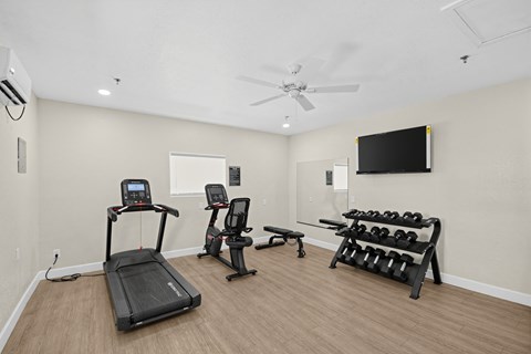 A spacious home gym with a treadmill, exercise bike, bench, and dumbbells.