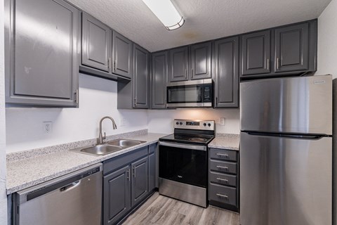 A kitchen with dark cabinets and stainless steel appliances.