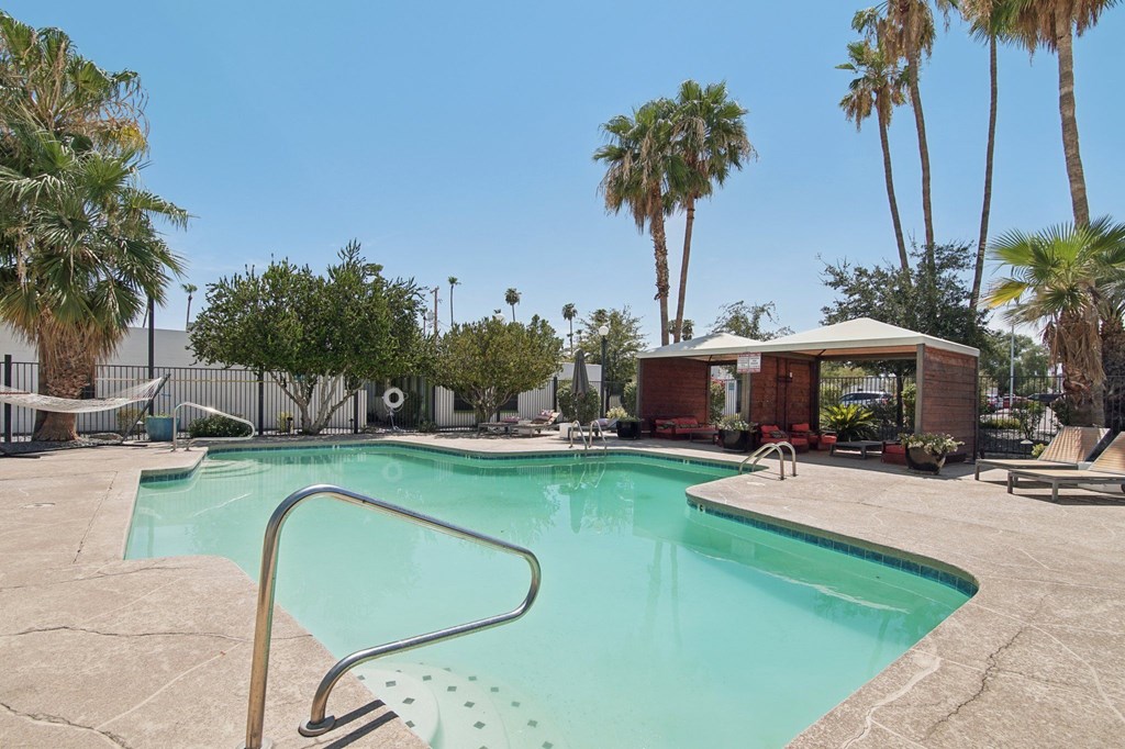 A swimming pool surrounded by palm trees and a hammock.