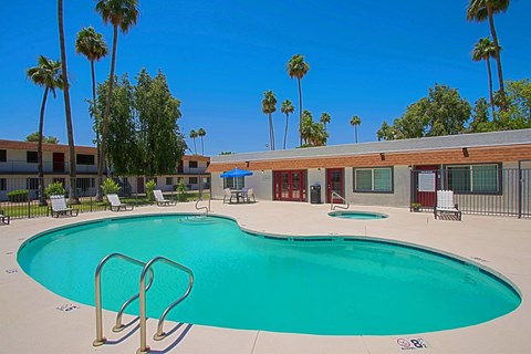 A large swimming pool surrounded by palm trees and lounge chairs.