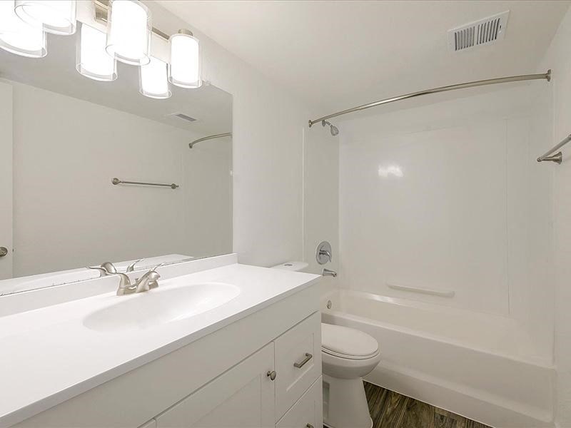 a bathroom with a sink and a toilet and a shower