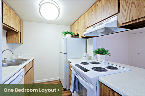 a kitchen with a stove and a refrigerator and a sink