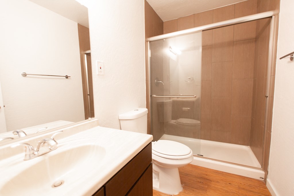 a bathroom with a shower toilet and sink