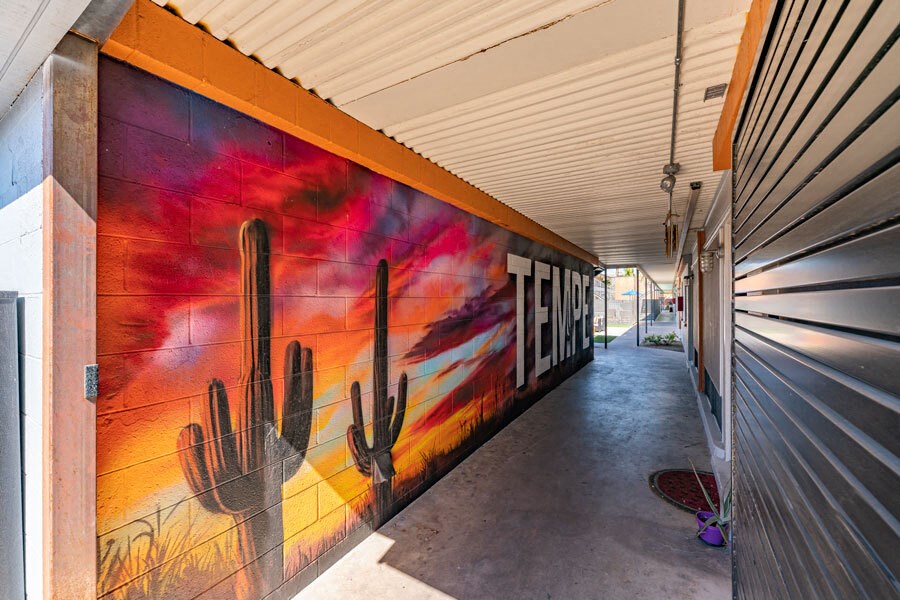 a mural of a cactus on the side of a building