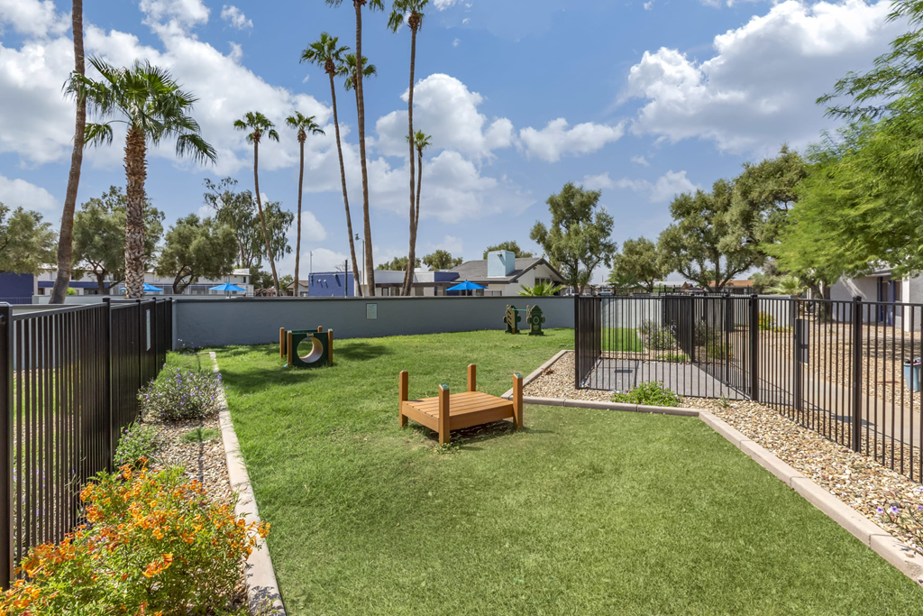 a yard with a bench and a fence with palm trees