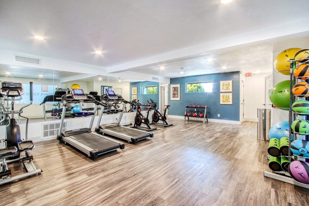 the preserve at ballantyne commons fitness room with treadmills and weights