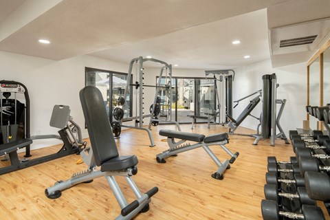 A gym with a variety of equipment including weights and machines.