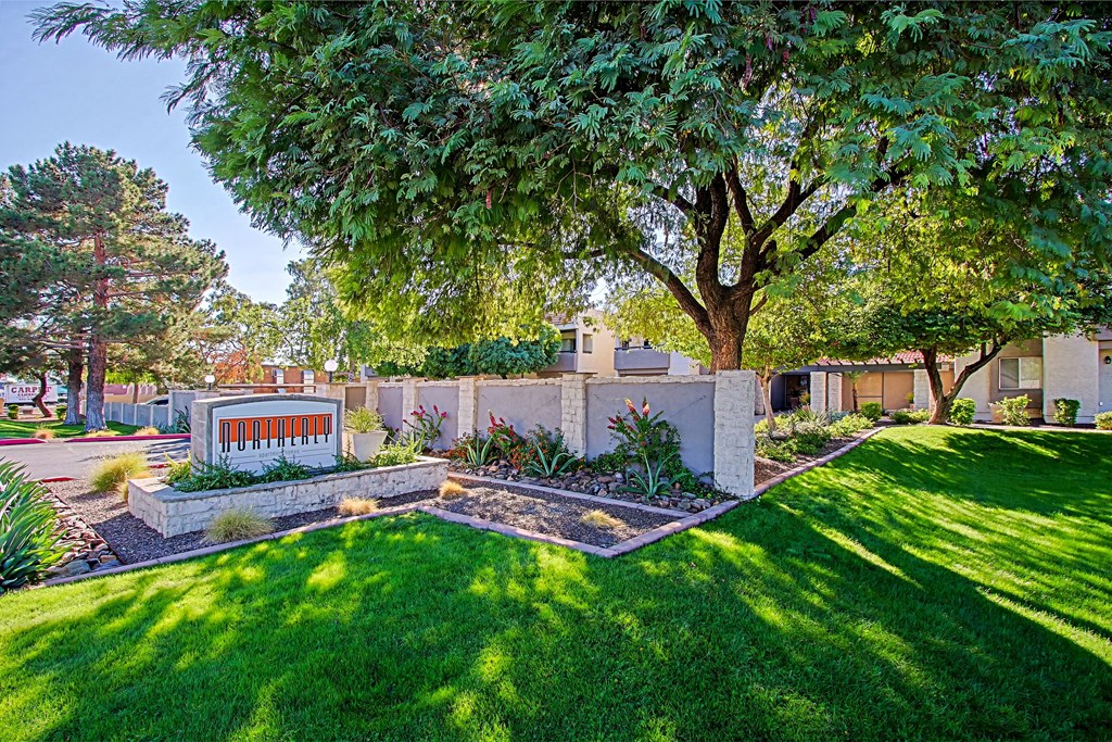 a garden with a tree and a house in the background